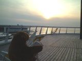 Scheveningen Pier