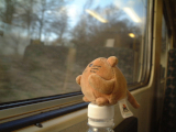 Mr Cat sitting on a bottle of water to see out of a train