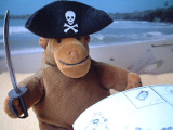 Pirate hat