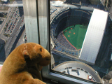 CN Tower
