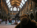 Natural History Museum