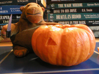 Mr Monkey standing beside a one-eyed pumpkin