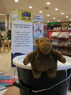 Mr Monkey standing on top of a charity bucket