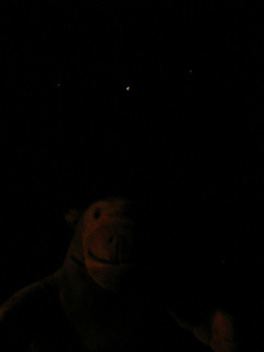 Mr Monkey watching the moon leave the umbra