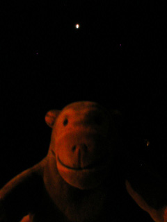 Mr Monkey watching the moon leave the umbra