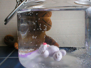 Mr Monkey peering at the rabbit from the side after 24½ hours