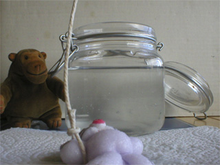 Mr Monkey watching the lassooed rabbit drying on the paper towel