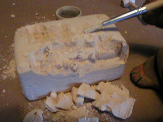 Mr Monkey brushing debris from an exposed leg and hand