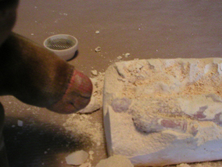 Mr Monkey pointing out the head of the terracotta warrior