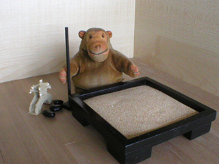 Mr Monkey beside the sand garden