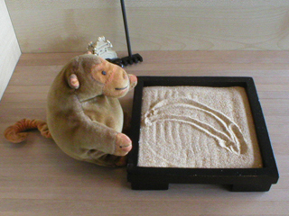 Mr Monkey contemplating a banana design in his Zen garden