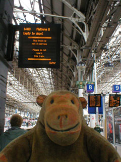 Mr Monkey looking at the display panel on platform 8