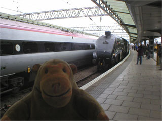 Mr Monkey watching the Bittern arrive