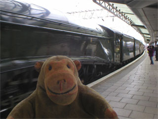 Mr Monkey watching the Bittern pass him