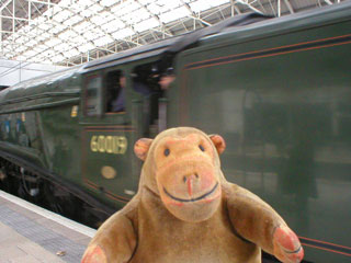 Mr Monkey watching the Bittern stopping