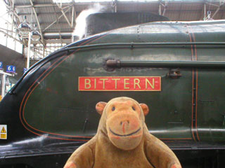 Mr Monkey looking at the nameplate of the Bittern
