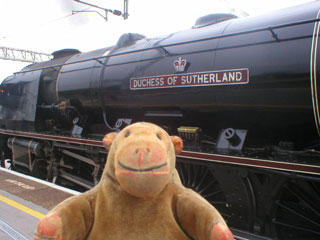 Mr Monkey walking past the Duchess of Sutherland