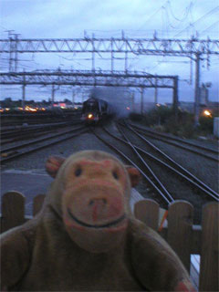 Mr Monkey watching the Scarborough Flyer arriving from the viaduct at dusk