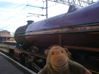 Mr Monkey watching the Princess Elizabeth pass him