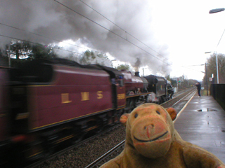 Mr Monkey watching the two locomotives race past