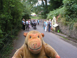Mr Monkey trotting down the hill towards St Chad's Well