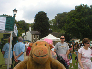 Mr Monkey looking around the Welldressing festival