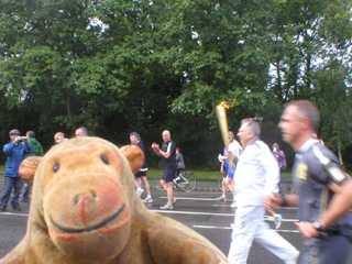 Mr Monkey watching the Torchbearer run past