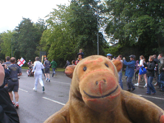 Mr Monkey watching the Torchbearer run off