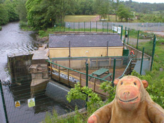 Mr Monkey looking down on the power station from Otterspool Bridge