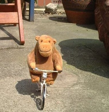 Mr Monkey on his bike