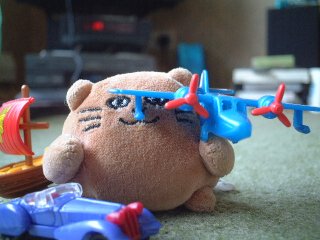 Mr Cat playing with his toy plane