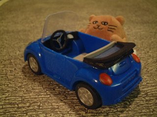 Mr Cat beside his little blue car