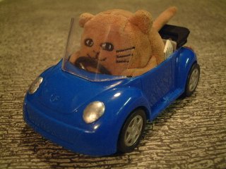 Mr Cat driving his car