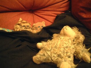 Two cats creeping up on a sleeping sheep
