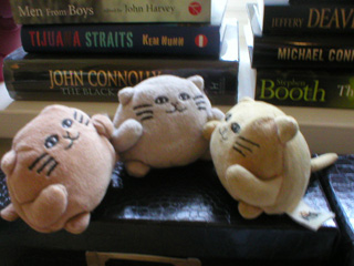 Mr Cat talking to a pair of other cats in front of a pile of books