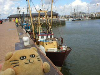 Mr Cat looking at a small trawler docked in Ostende