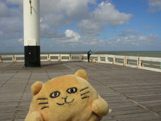 Mr Cat stalking a fisherman on Ostende pier