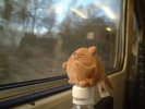 Mr Cat's train ride