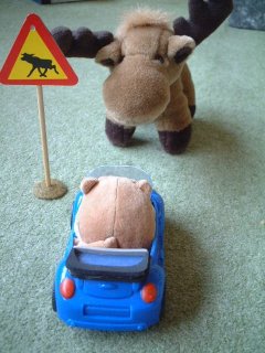 Mr Elk stopping Mr Cat's car