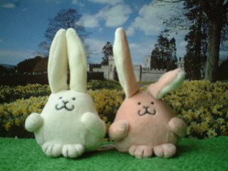 A white bunny and pinkish bunny