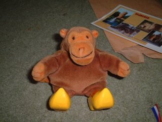 Monkey sporting his fine new clogs