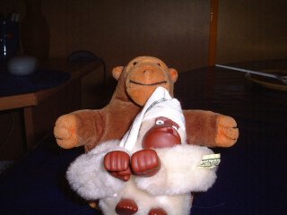 Mr Monkey with a white ape