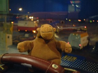 Mr Monkey waiting to board the plane