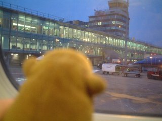 Mr Monkey looking out of the plane