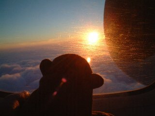 Mr Monkey looking at the sun dawning atop clouds