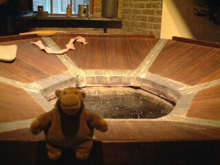 Mr Monkey on the edge of a planking kettle