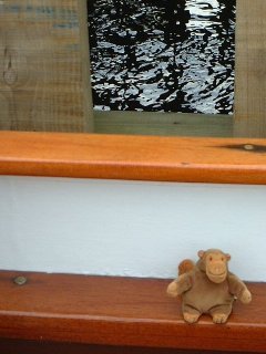 Mr Monkey sitting in a steamer