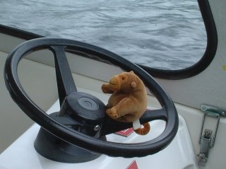 Mr Monkey on top of a motorboat