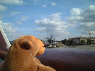 Mr Monkey viewing the Greenwich shore