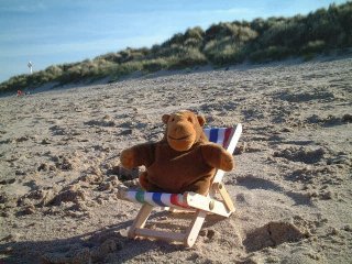 Monkey relaxing in a deckchair